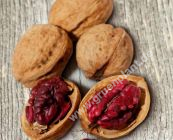Juglans regia 'Rote Donaunuss' (Nr.1239) - Walnuss-/Edelnuss Baum